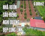 CƠ HỘI ĐẦU TƯ VỚI GIÁ NGỘP CHỈ 550TRIỆU/1000m2