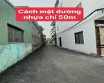 Rẻ nhất tổ 9 Hòa Nghĩa , 59m chỉ 5xx bé  - Lô đất nằm trên mặt ngõ 3m , nở hậu  - Cạnh dãy