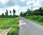 Cần bán 2011m2 đất vườn thuộc xã Trường Long, huyện Phong Điền- Tỉnh Cần Thơ