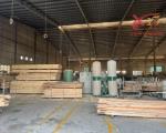 Bán nhà xưởng Sản xuất gỗ xuất khẩu Bom diện tích 87500m2 giá 245 tỷ