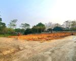 Bán đất rất tiềm năng tại Thị trấn Kim Long, Tam Dương, Vĩnh Phúc. DT 1068m2 giá 2.58 tỷ