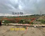 Chính chủ cần bán gấp lô đất trúng đấu giá tại thôn Tân Hạ, xã Quang Sơn, tp Tam Điệp,