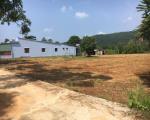 Cắt lỗ 500tr lô đất sổ sẵn gần trường tiểu học Tân Quan