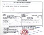 Hẻm thông Luỹ Bán Bích_Phú Thọ Hoà, 34m2 SHR hoàn công đủ, 2 tỷ 4