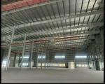 Cho thuê 3480m² và 6960m² xưởng mới xây trong KCN Thăng Long 3, Vĩnh Phúc.