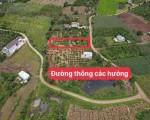 CÓ NGAY 10x65 SẴN THỔ CƯ THỊ XÃ BUÔN HỒ, BÊ TÔNG CÁCH QL 29 CHỈ 900M