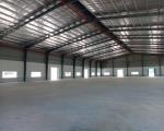 cho thuê kho xưởng 8000m2 huyên cần giuộc .long an