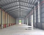 CHO THUÊ NHÀ KHO DIỆN TÍCH 3000M2 ĐƯỜNG PHẠM VĂN XẢO GIÁ CHỈ 45K