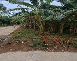 Bán lô đất 2mt thôn Hà Dục Đông, Đại Lãnh, Quảng Nam- Đà Nẵng giá chỉ 265tr