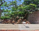 Bán đất Đại Áng 30m², ô tô vào đất, giá 3,5 tỷ 0844444453