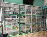 Cần tuyển dụng nhân viên