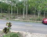 Bán đất tại đường Lò Rèn, Long Hòa, 4 tỷ, 880 m2, giá tốt, view đẹp