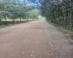 Bán đất đường Lò Rèn, Long Hòa, 4,5tr/m2, 3100m2 view đẹp Hot!