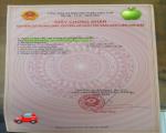 CHÍNH CHỦ Cần Bán Nhà Vị Trí Đẹp Tại Long Khê - Cần Đước - Long An (môi giới 02%)