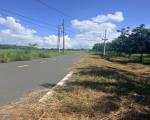 Bán đất đẹp tại Ấp Yên Ngựa, xã Định Thành, Dầu Tiếng, DT 284,4m2, nhiều tiện ích
