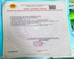 CHÍNH CHỦ CẦN BÁN ĐẤT VỊ TRÍ ĐẸP Tại xã Lê Minh Xuân, Huyện Bình Chánh, TP HCM