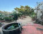 CHÍNH CHỦ CẦN BÁN ĐẤT Ở CHÁNH MỸ CŨ – TP. THỦ DẦU MỘT,BÌNH DƯƠNG