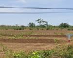 ĐẤT ĐẸP – GIÁ TỐT – CẦN BÁN  NHANH LÔ  ĐẤT tại Bình Giã, Huyện Châu Đức, Bà Rịa – Vũng Tàu