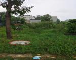 ĐẤT ĐẸP- GIÁ TỐT BÁN NHANH LÔ ĐẤT ĐẦU TƯ LÀ SINH LỜI TẠI thị xã Bến Cát tỉnh Bình Dương