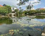 BÁN 🏡 KIM NGƯU – TÂN TIẾN | 70M² | NGÕ THÔNG, XE HƠI VÀO TẬN ĐẤT