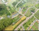 BÁN GẤP LÔ ĐẤT VIEW ĐỒI THÔNG - GẦN ĐỒI CHÈ TÂM CHÂU BẢO LỘC - TRẢ TRƯỚC 299 TRIỆU NHẬN