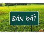 CHÍNH CHỦ BÁN ĐẤT THÔN ĐÔNG BẮC – KIM LONG – TAM DƯƠNG – VĨNH PHÚC