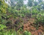 ĐẤT ĐẸP - GIÁ ĐẦU TƯ  – CHÍNH CHỦ CẦN BÁN NHANH  2 LÔ ĐẤT RẪY TẠI H. Đăk Glei, T. Kon Tum