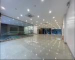 Tôi cho thuê nhà, Đội Cấn, Giang Văn Minh, Đốc Ngữ; 207m2* 1T -45 tr