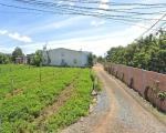 Bán 369m2 đất thị trấn Liên Nghĩa Đức Trọng Lâm Đồng Giá 4tỷ700 triệu