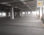 BÁN HOẶC CHO THUÊ NHÀ XƯỞNG CAO TẦNG – KCX TÂN THUẬN, QUẬN 7, TP.HCM – 7.500m²