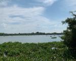 CƠ HỘI ĐẦU TƯ VÀNG – SỞ HỮU NGAY VƯỜN CÂY ĂN TRÁI 1.6HA TẠI PHÚ LÝ, VĨNH CỬU – CHỈ 13,6 TỶ