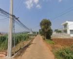 Bán đất Liên Nghĩa Lâm Đồng giá 2ty9-  DT242m2