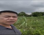 Nhỉnh 2,x tỷ 75m2  Đất phân lô tại Thôn Vĩnh Phú - Tiên Du - Bắc Ninh