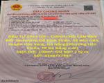 ĐẦU TƯ SINH LỜI – CHÍNH CHỦ CẦN BÁN ĐẤT Tại  Xã Hòa Liên, Huyện Hòa Vang, Đà Nẵng