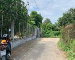 Bán vườn bưởi view rạch Bến Cá tại Cù Lao Tân Triều