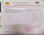 ĐẤT ĐẸP – GIÁ TỐT – CẦN BÁN ĐẤT TẠI xã Tuy Phước, huyện Tuy Phước, tỉnh Bình Định