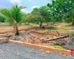 ĐẤT SÁT KHU CÔNG NGHIỆP – CÓ SẴN THỔ CƯ – GIÁ CHỈ TỪ 340 TRIỆU