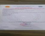 Bán đất biệt thự sẵn sổ KĐT Parkhill Thành Công, Vĩnh Yên. DT 407m2