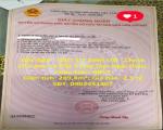ĐẤT ĐẸP - ĐẦU TƯ SINH LỜI - Chính Chủ Bán Lô Đất Trung Tâm Ngãi Giao, Châu Đức, BRVT