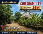 CHỦ GIẢM NGAY 1 TỶ – GIÁ CHÀO MỚI CHỈ 24 TỶ  ĐẤT VƯỜN 1/ BÙI THỊ LÙNG 1.943M²