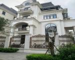 Cho thuê nhà, Lạc Long Quân, Võ Chí Công, THANG MÁY, 332m2x 4T -60 tr