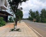 Đất chính chủ Hoàng Văn Thụ - Phường 1, 110m2 full thổ cư, gần Tôm Búng, chỉ 6,1 tỷ, đầu