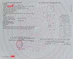 Bán nhà 8x18 - full 4 tầng. Đường 2C, P. Phú Mỹ, Quận 7 (P. Tân Mỹ), TP. HCM