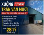 Bán gấp Đất 1000m2 Trần Văn Mười, Hóc Môn. Dòng tiền tốt, giá 28 tỷ.