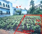 ĐẦU TƯ SINH LỜI – CHÍNH CHỦ CẦN BÁN ĐẤT Tại phường Tân An (trước là xã Eatu, TP Buôn mê