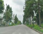 Bán lô đất Shophoues chính chủ