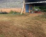 Cần bán nhanh lô đất vườn cà phê đẹp nhất khu vực  thôn 6 Xã Trường Xuân, Huyện Đắk Song,