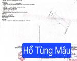 🔴💥Bán đất trục đường kinh doanh đường 10,5m Hồ Tùng Mậu