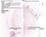 🔴💥Bán đất đường Phan Văn Trường - Trục thông biển