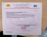 SỔ HỒNG ĐÃ VỀ – MỞ BÁN DÃY ĐẤT MẶT TIỀN THẠNH LỘC 27 GẦN CHỢ CẦU ĐỒNG